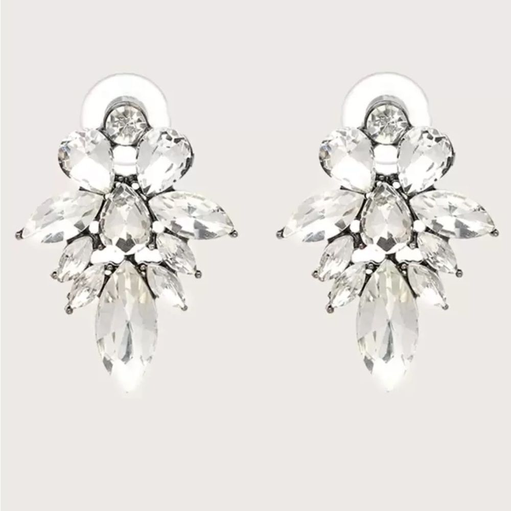 Elegant Silver Crystal Earrings N1073